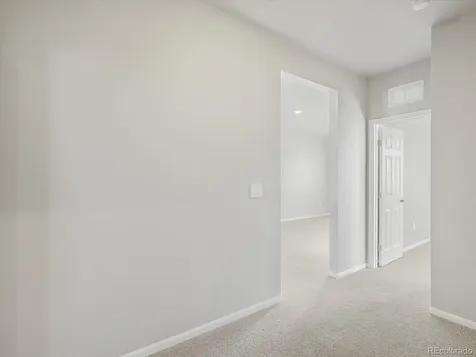 1625 Yampa River Drive Windsor CO 80550