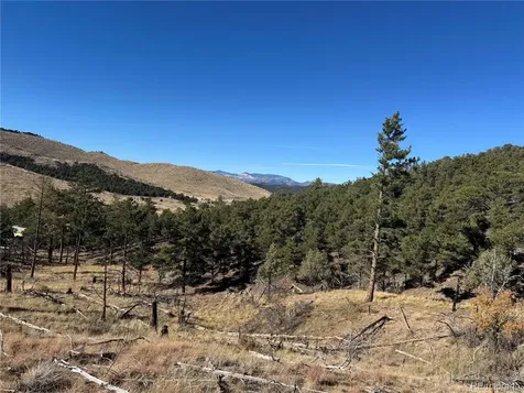 0 G Path Cotopaxi CO 81223