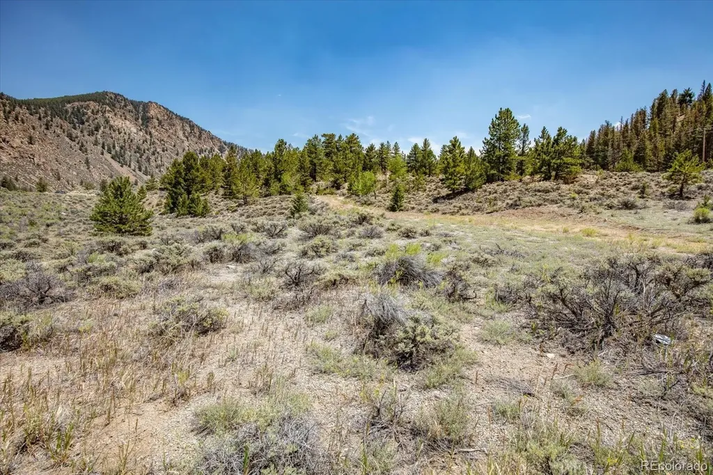 40400 County Road 388 Buena Vista CO 81211