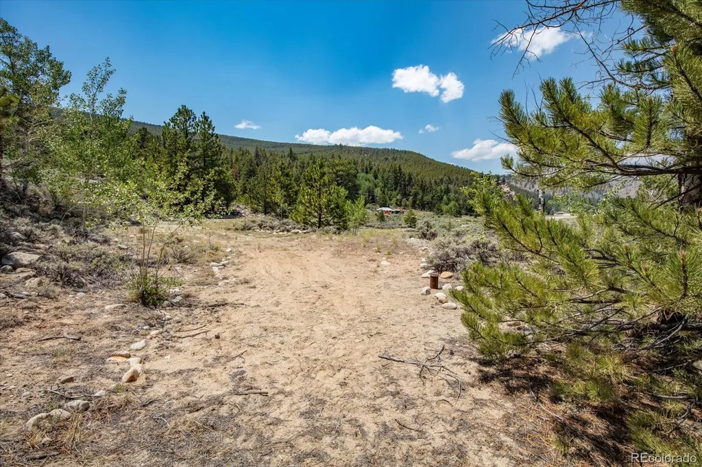 40400 County Road 388 Buena Vista CO 81211