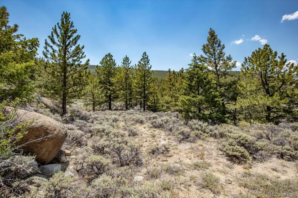40400 County Road 388 Buena Vista CO 81211