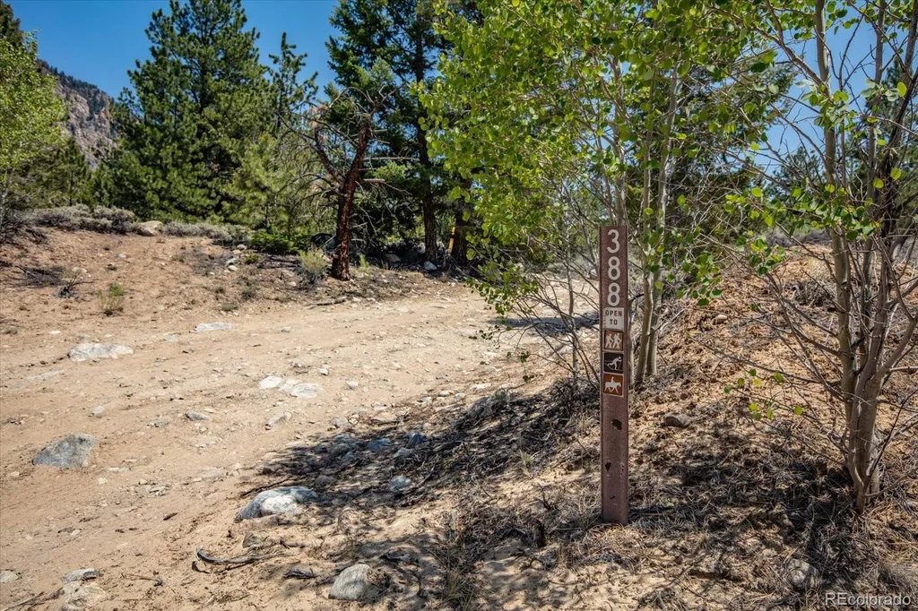 40400 County Road 388 Buena Vista CO 81211