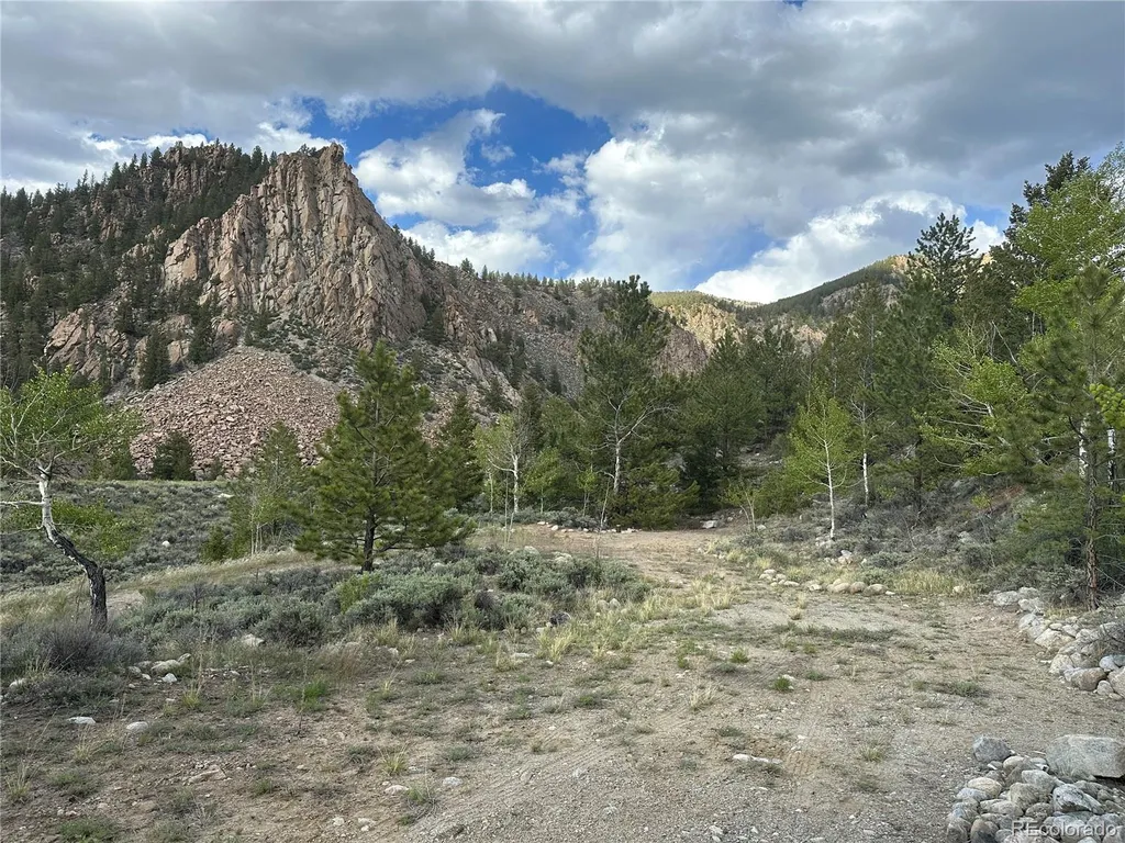 40400 County Road 388 Buena Vista CO 81211