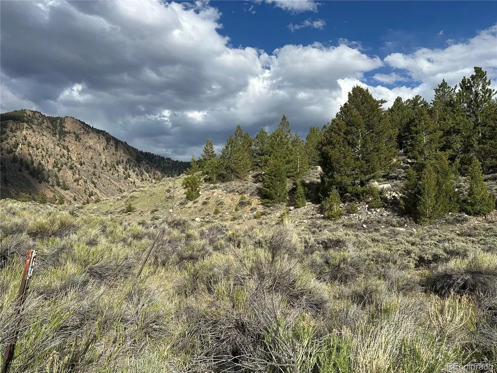 40400 County Road 388 Buena Vista CO 81211