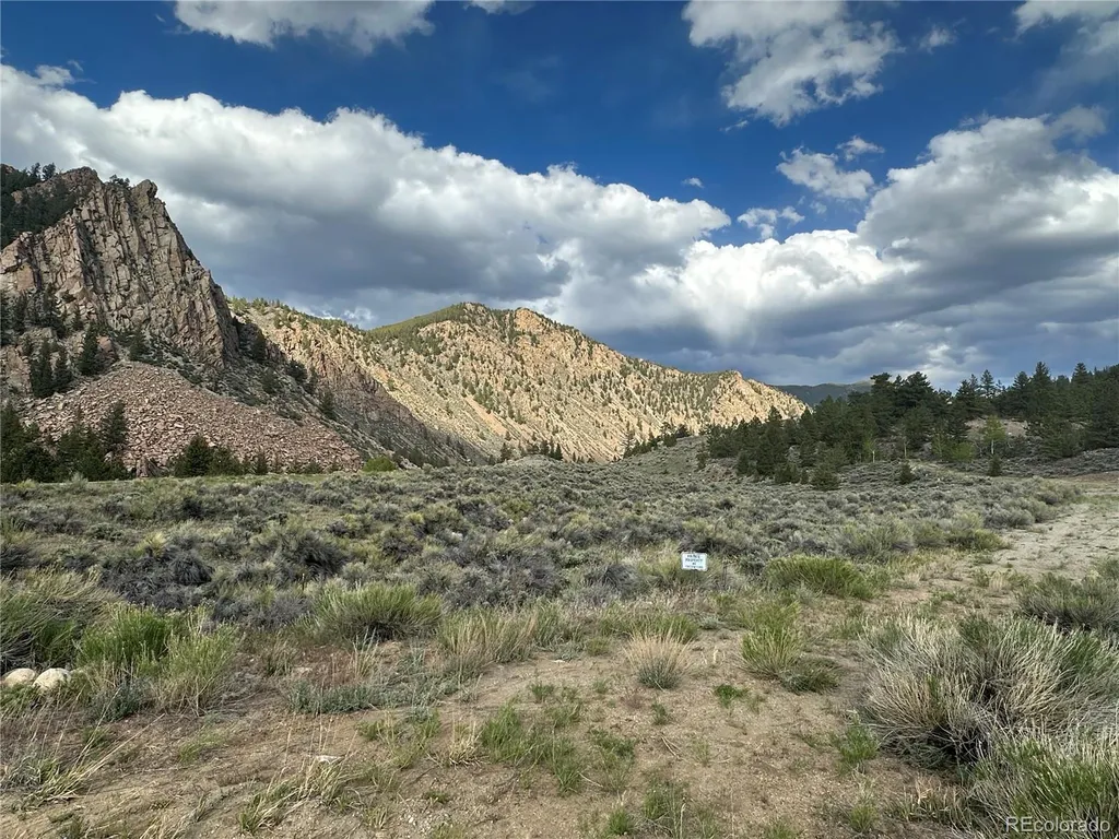 40400 County Road 388 Buena Vista CO 81211