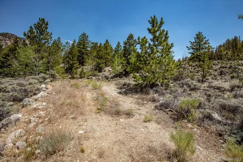 40400 County Road 388 Buena Vista CO 81211