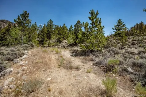 40400 County Road 388 Buena Vista CO 81211