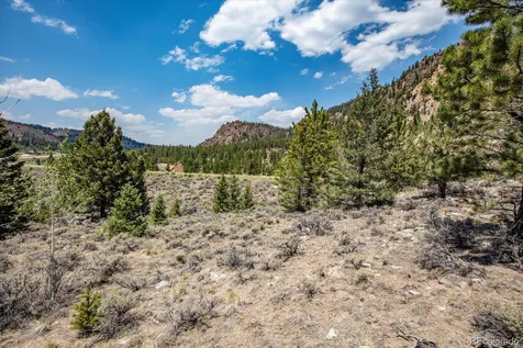 40400 County Road 388 Buena Vista CO 81211