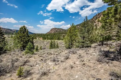 40400 County Road 388 Buena Vista CO 81211