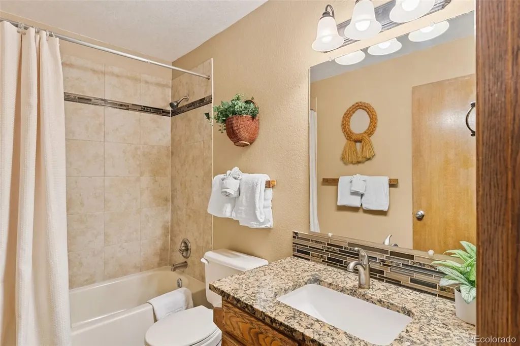 89410 Ryan Gulch Road Silverthorne CO 80498