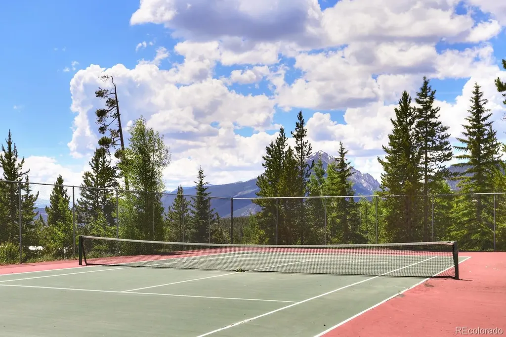 89410 Ryan Gulch Road Silverthorne CO 80498