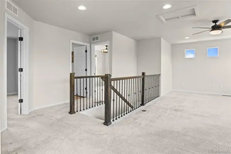 3141 Hardin Street Castle Rock CO 80109