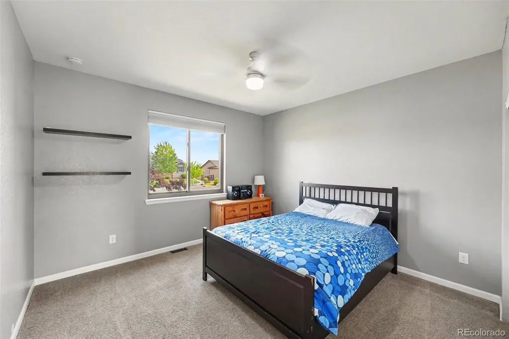 4530 Carmichael Court Brighton CO 80603