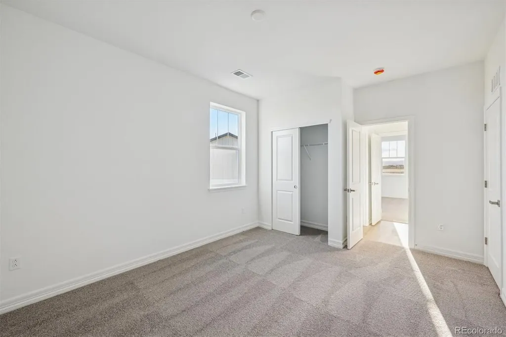 1162 Weller Street Timnath CO 80547