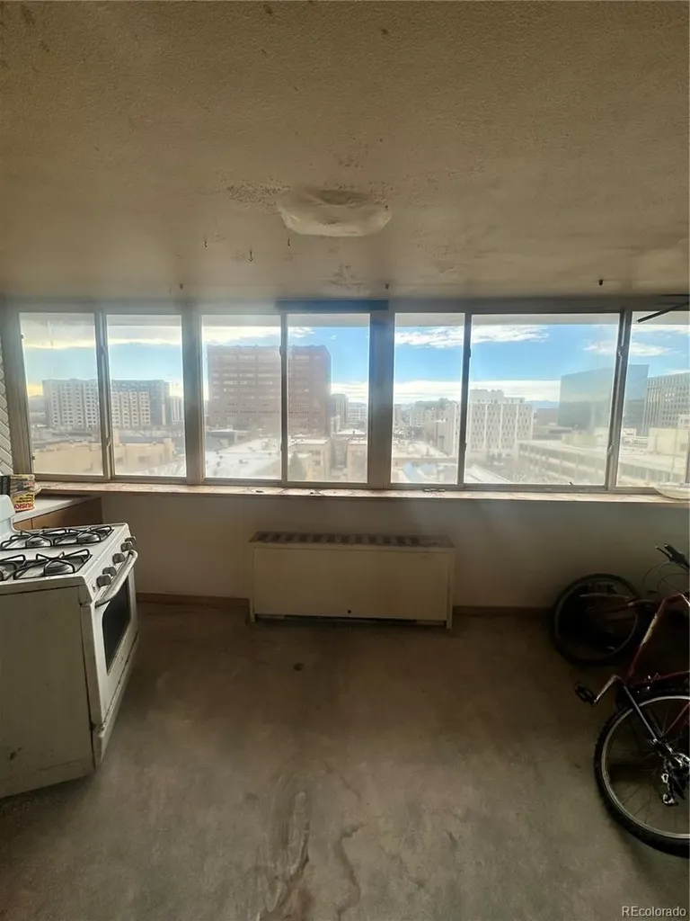 1196 N Grant Street Denver CO 80203
