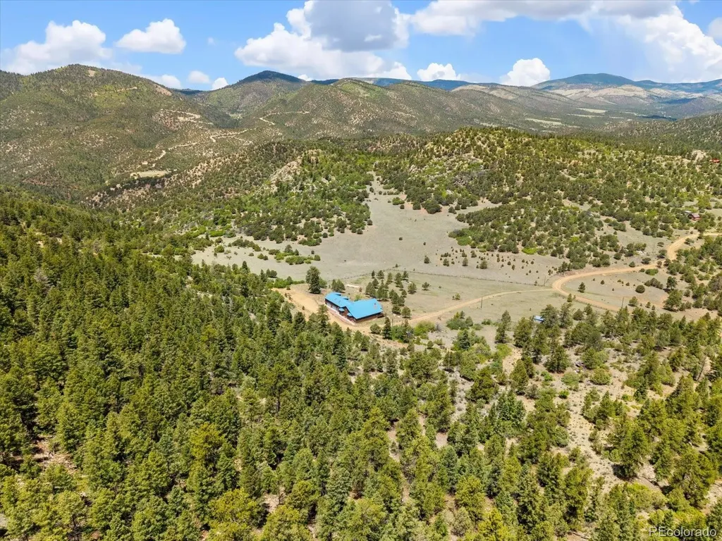 2891 Bird Point Drive Cotopaxi CO 81223