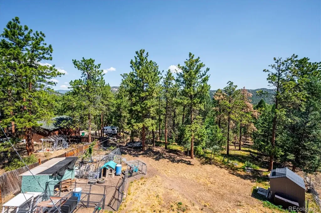 194 Long Ridge Drive Bailey CO 80421