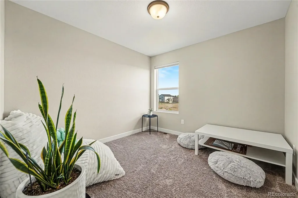 4953 Thistle Drive Brighton CO 80601