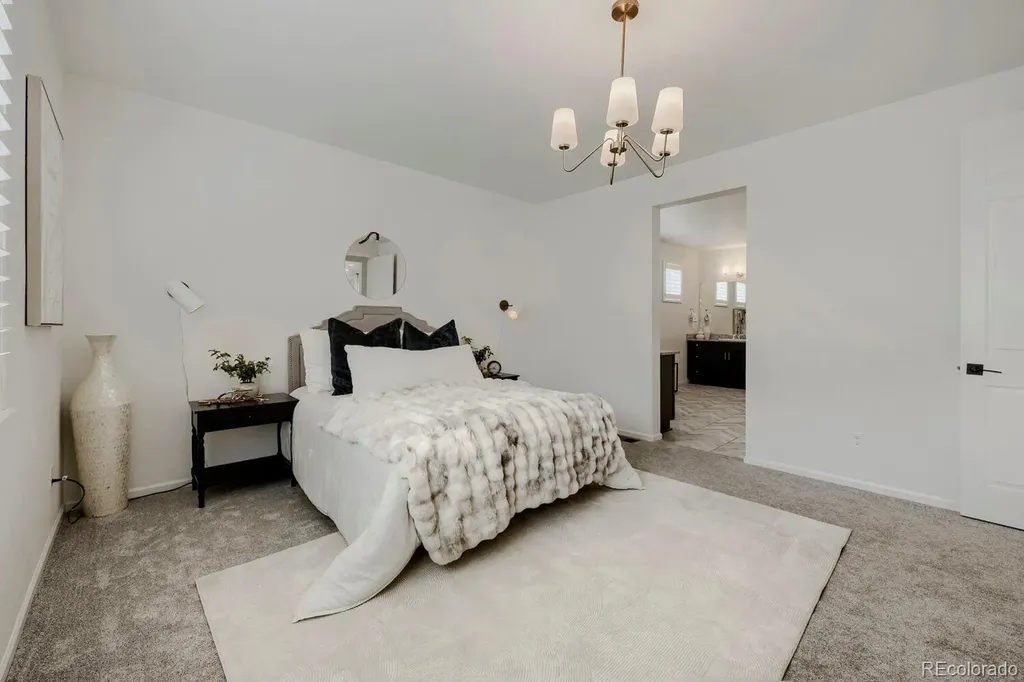 5208 Silver Hare Court Castle Rock CO 80104