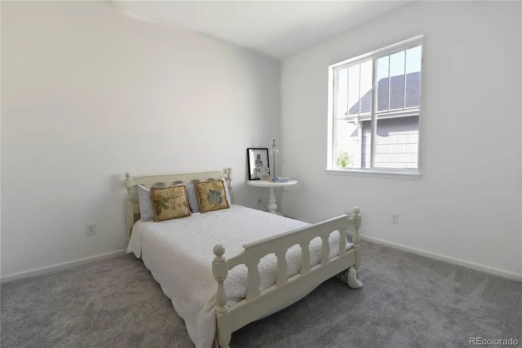 5208 Silver Hare Court Castle Rock CO 80104