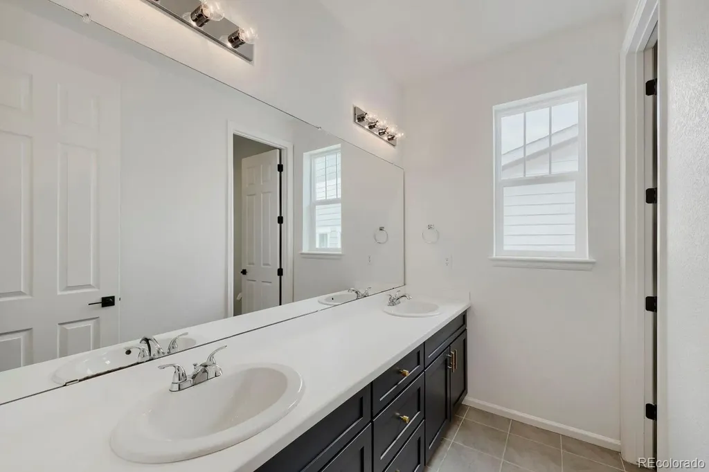 5208 Silver Hare Court Castle Rock CO 80104