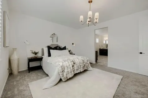5208 Silver Hare Court Castle Rock CO 80104