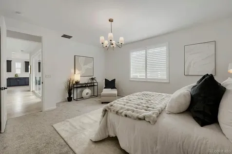 5208 Silver Hare Court Castle Rock CO 80104