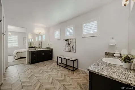 5208 Silver Hare Court Castle Rock CO 80104