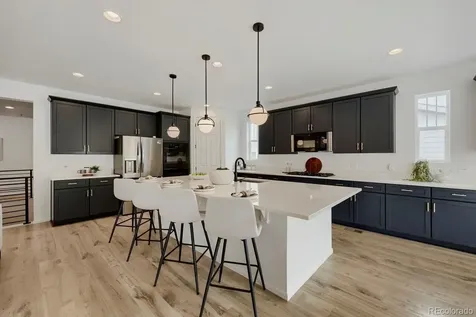 5208 Silver Hare Court Castle Rock CO 80104