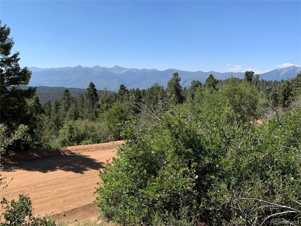54 Oak Drive Cotopaxi CO 81223