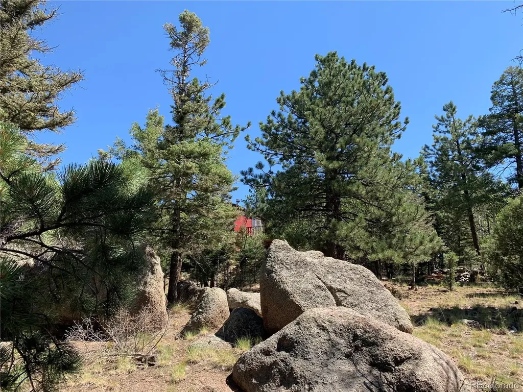 54 Oak Drive Cotopaxi CO 81223