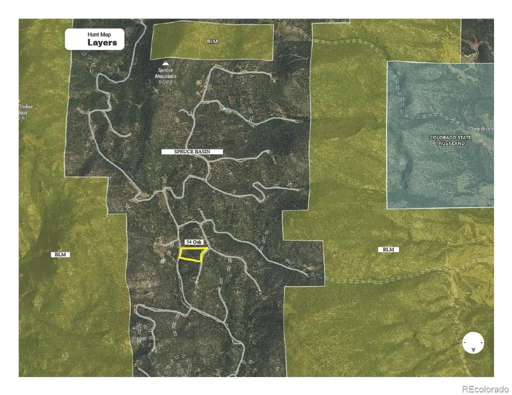 54 Oak Drive Cotopaxi CO 81223