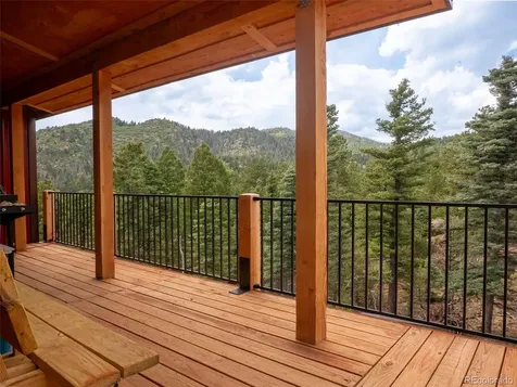 54 Oak Drive Cotopaxi CO 81223