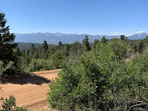 54 Oak Drive Cotopaxi CO 81223