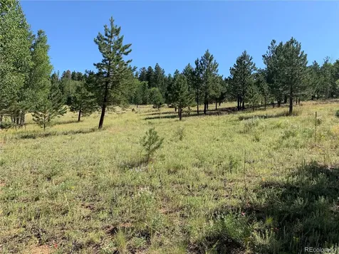 54 Oak Drive Cotopaxi CO 81223
