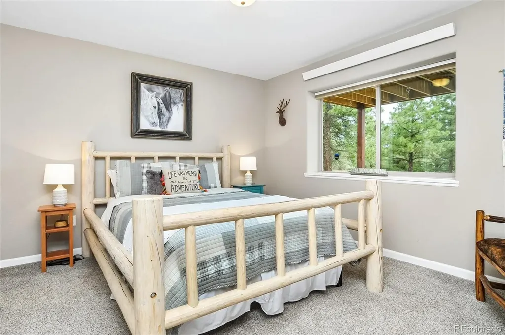 30460 Mountainside Drive Buena Vista CO 81211