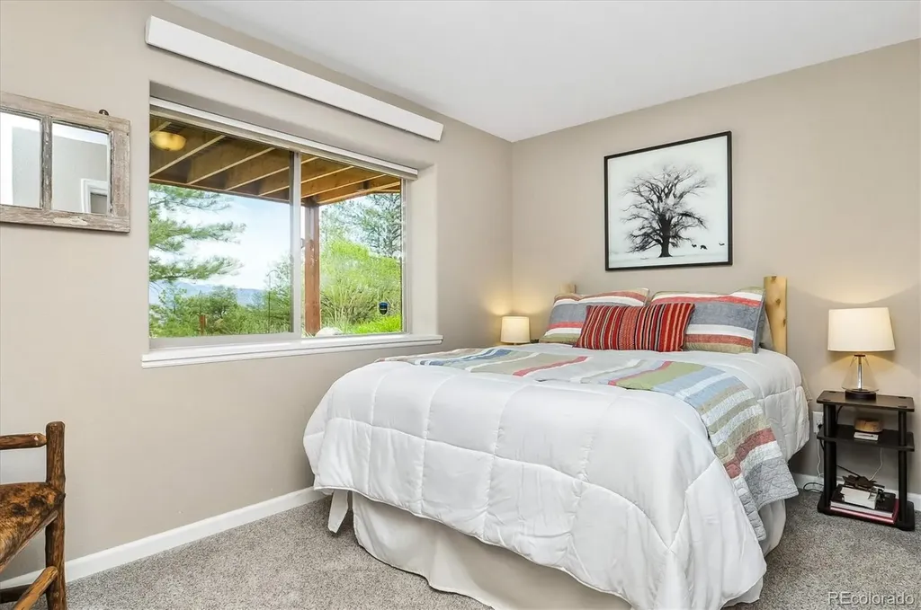 30460 Mountainside Drive Buena Vista CO 81211