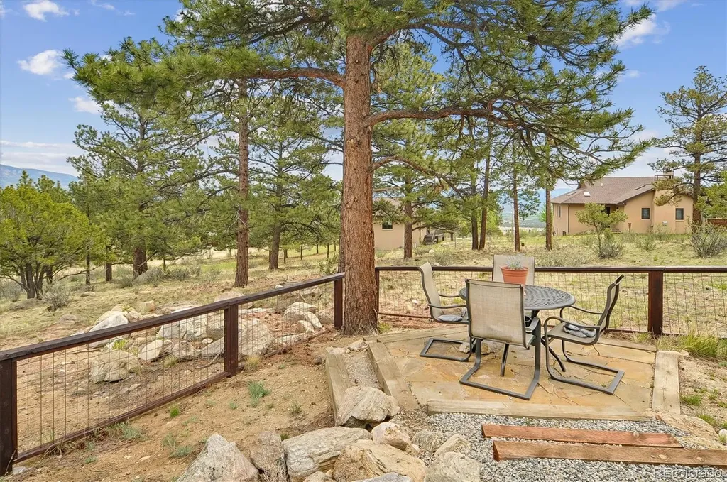 30460 Mountainside Drive Buena Vista CO 81211