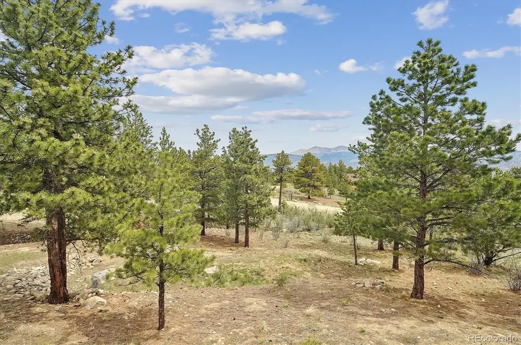 30460 Mountainside Drive Buena Vista CO 81211
