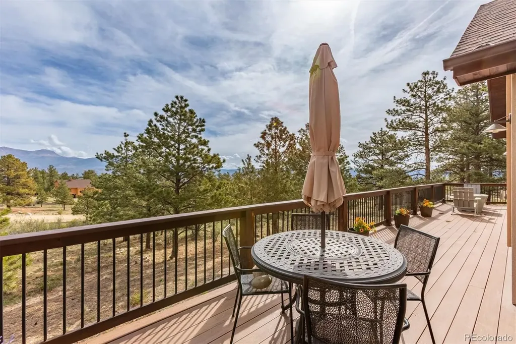 30460 Mountainside Drive Buena Vista CO 81211