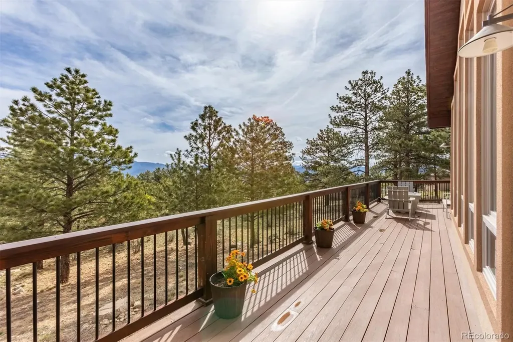 30460 Mountainside Drive Buena Vista CO 81211