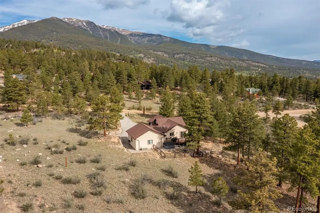 30460 Mountainside Drive Buena Vista CO 81211