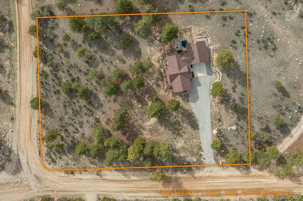 30460 Mountainside Drive Buena Vista CO 81211