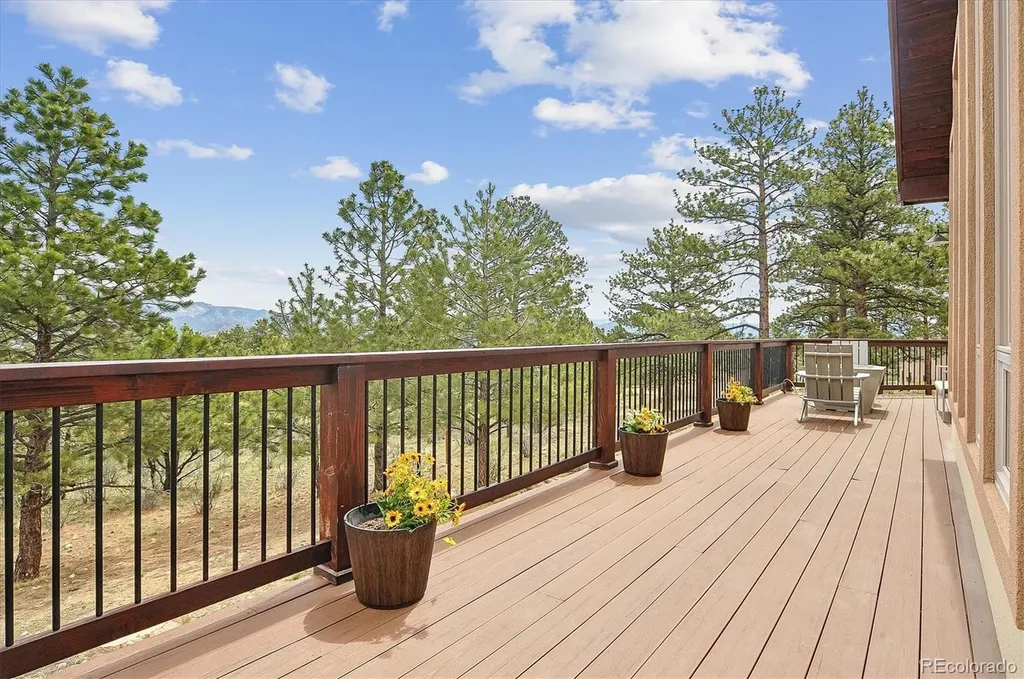 30460 Mountainside Drive Buena Vista CO 81211