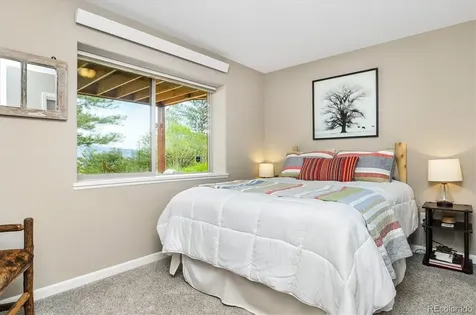 30460 Mountainside Drive Buena Vista CO 81211