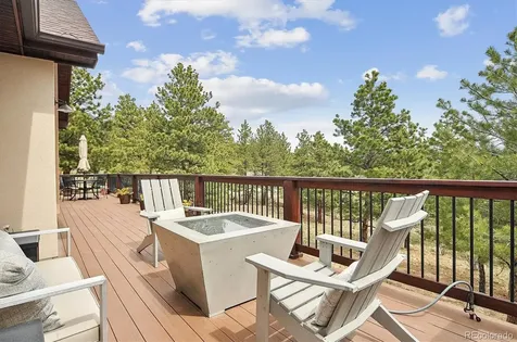 30460 Mountainside Drive Buena Vista CO 81211
