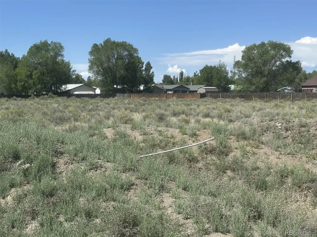 Mckinney/white Pine Alamosa CO 81101