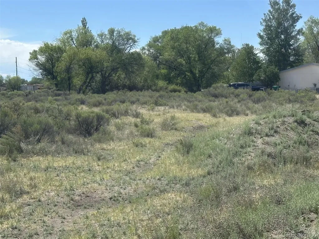Mckinney/white Pine Alamosa CO 81101
