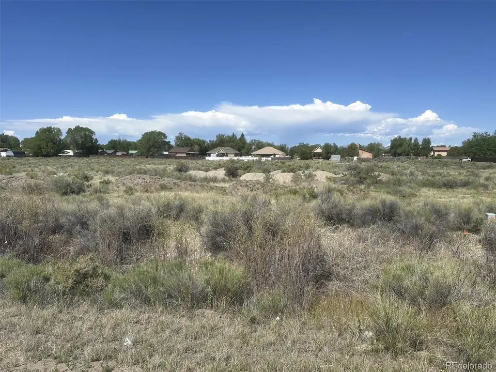 Mckinney/white Pine Alamosa CO 81101