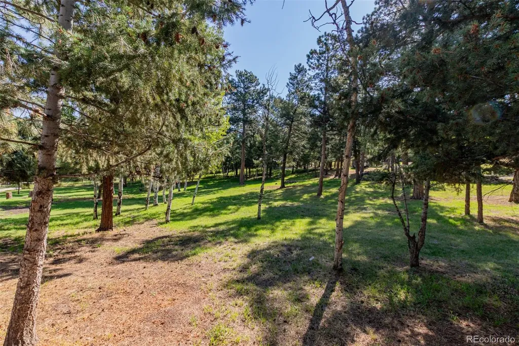 1462 Burland Drive Bailey CO 80421